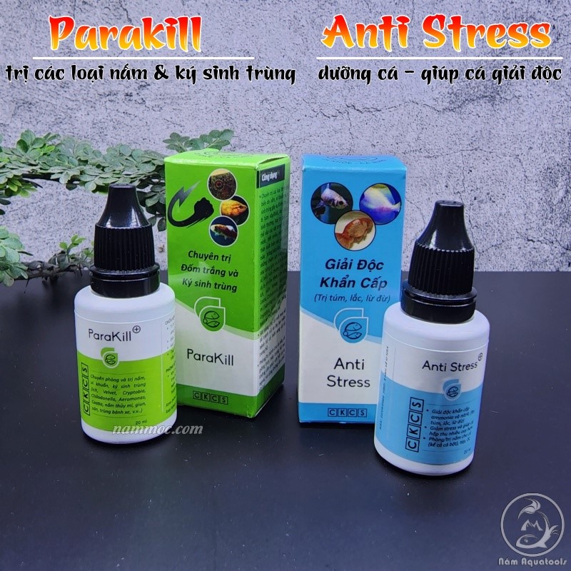 Bộ đôi Anti Stress và paraKill cho cá khỏe, cá sung