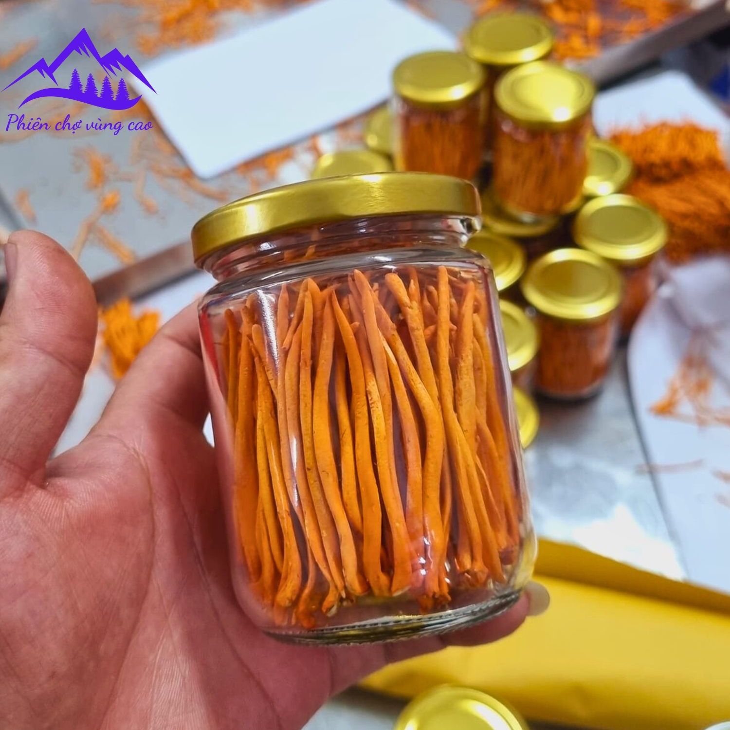 Nấm Đông trùng hạ thảo khô, sấy thăng hoa Huy Cương thượng hạng . Trà đông trùng hạ thảo ngâm mật ong, ngâm rượu