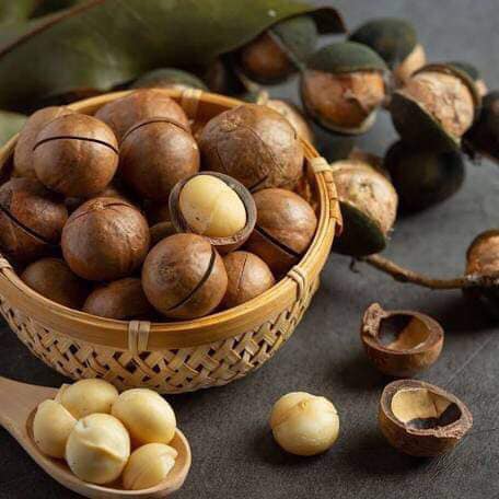 1kg Hạt mắc ca nứt vỏ đắk lắk - thơm ngon chất lượng - hạt macca Tây Nguyên - Nông sản sạch Tây Nguyên, khothoaison