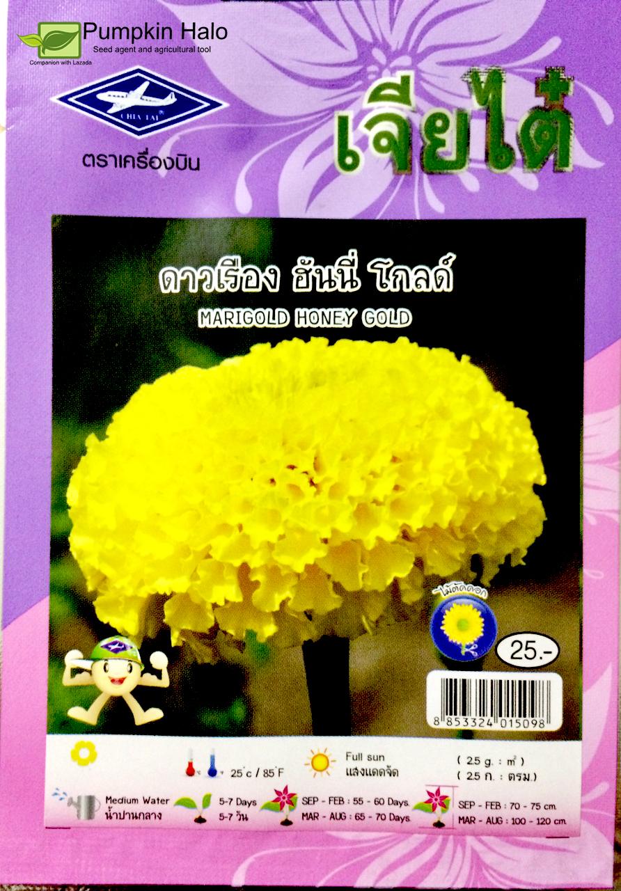 [HCM]Hạt Giống  Hoa Cúc Vạn Thọ Cao Vàng Thái Lan - gói 10 hạt . TẶNG KÈM GÓI PHÂN CAO CẤP 10GRAM .