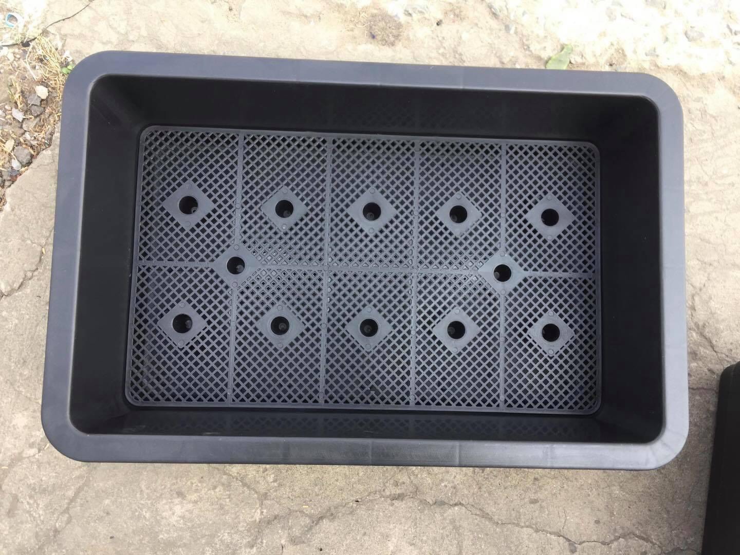 Combo 5 Chậu trồng rau sạch thông minh | Khay nhựa trồng rau sạch