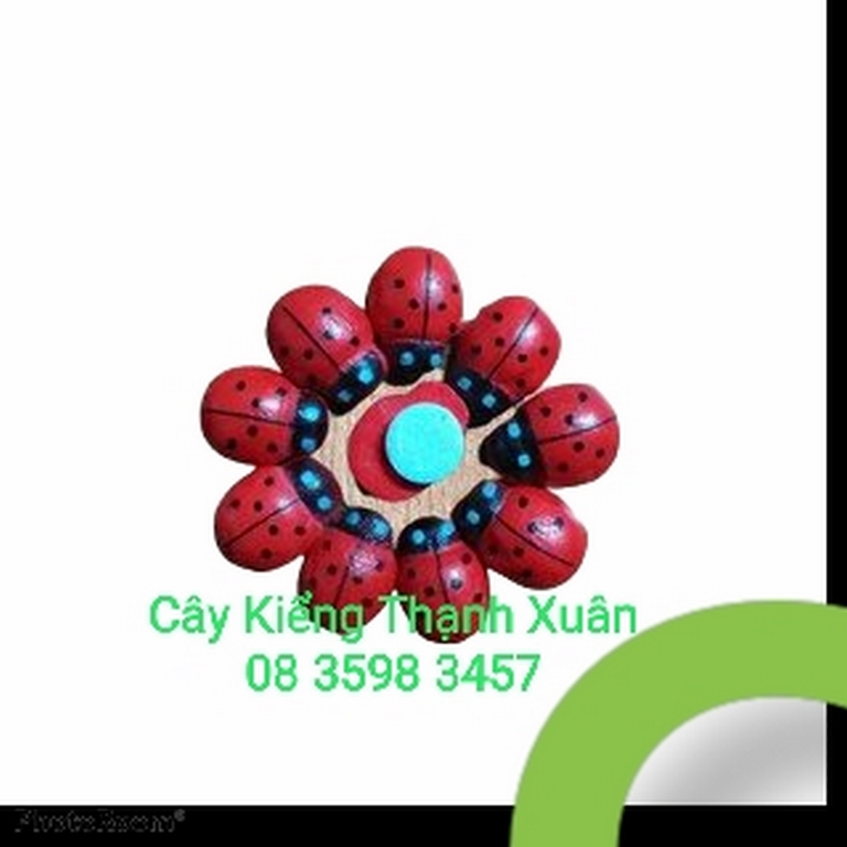 Phụ kiện Bọ rùa cánh cam-Bọ cánh cứng, Phụ kiện trang trí tiểu cảnh, cây cảnh để bàn, sen đá, xương rồng