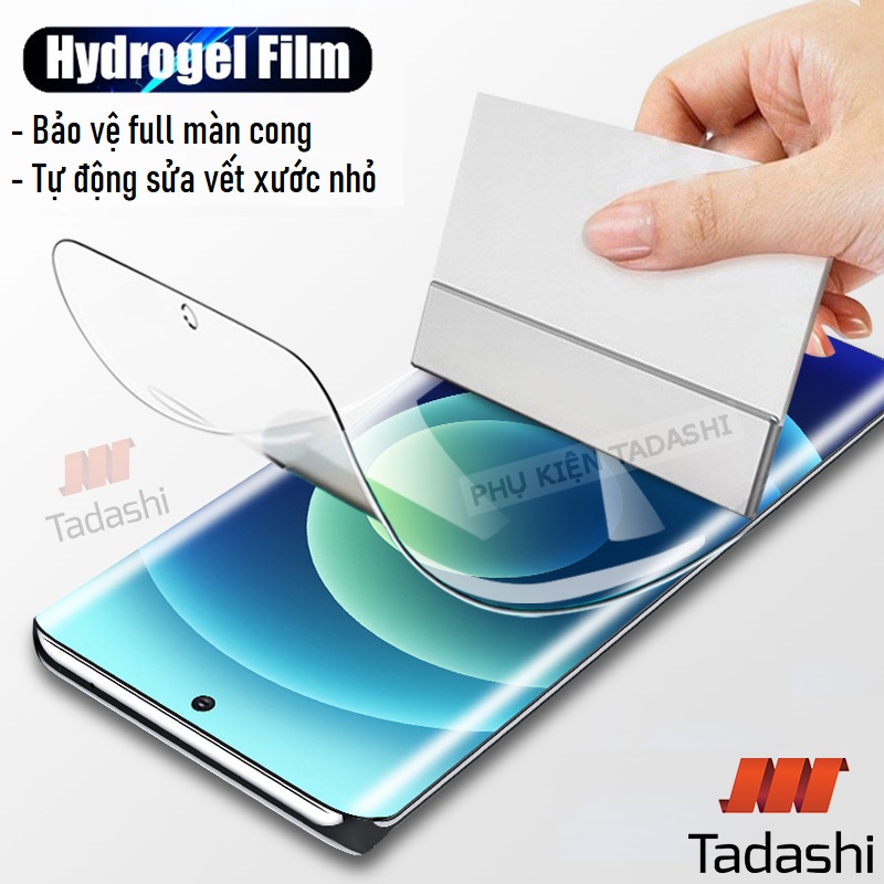 Miếng dán màn hình Samsung Galaxy NOTE 10 PLUS/ Note 20 Ultra/ Note 20 Note 10 Note 9 Note 8, S24, S