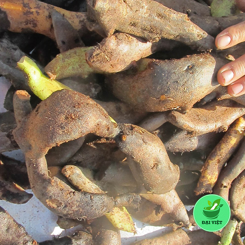 Tắc Kè Đá khô (cốt toái bổ) - 1KG - DV114