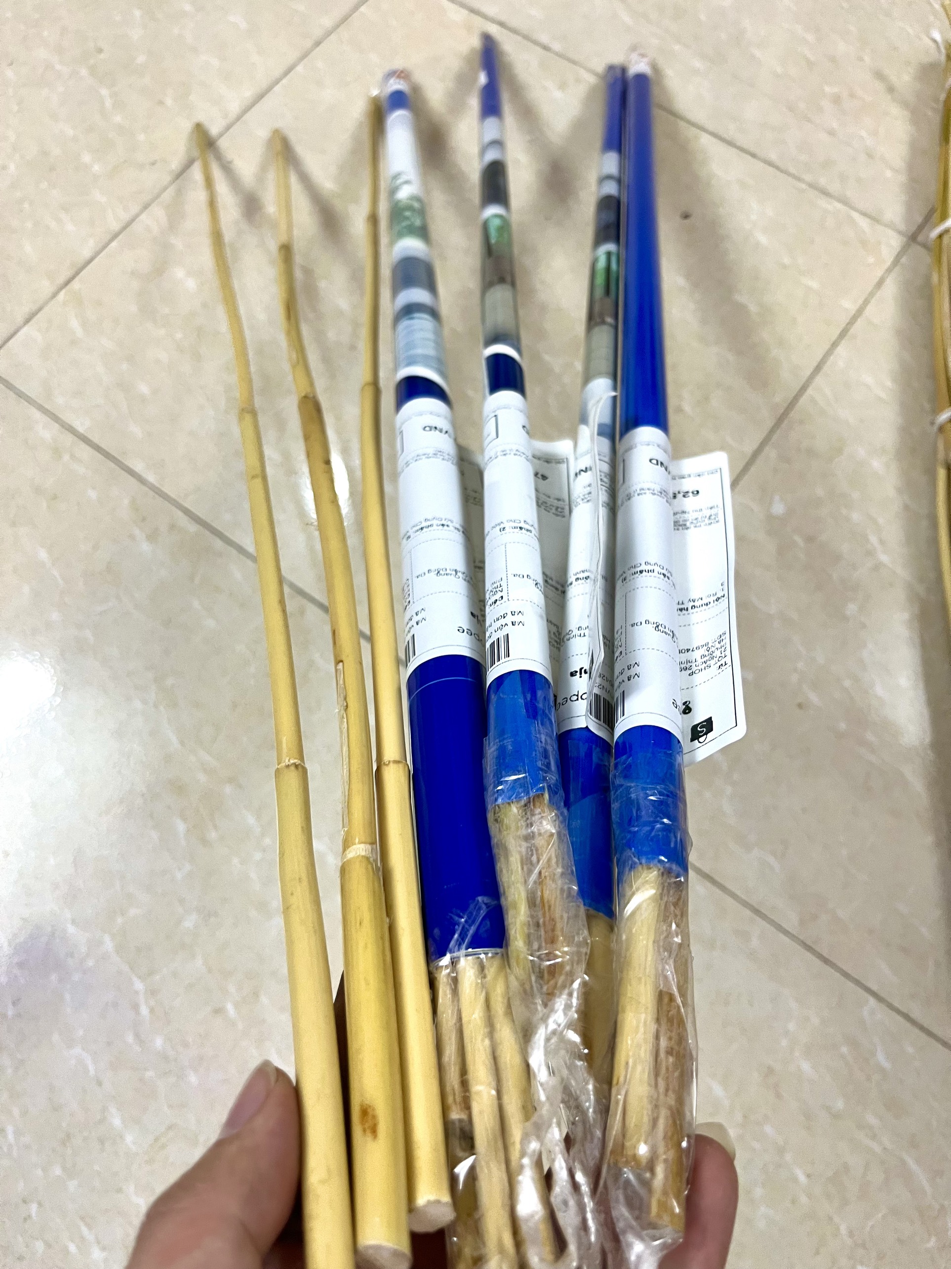 Cây mây dẻo dai - sử dụng để trang trí