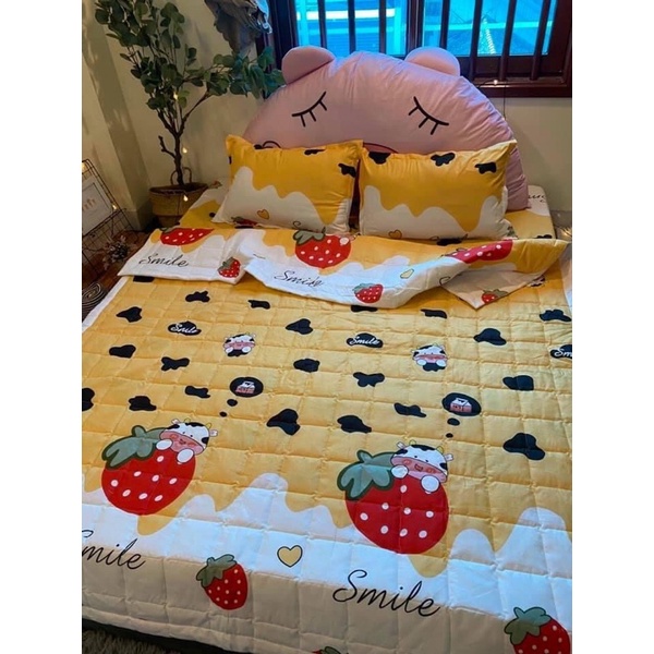 Set ga gối poly cotton : 2 vỏ gối đầu ,1 ga nhiều màu sắc