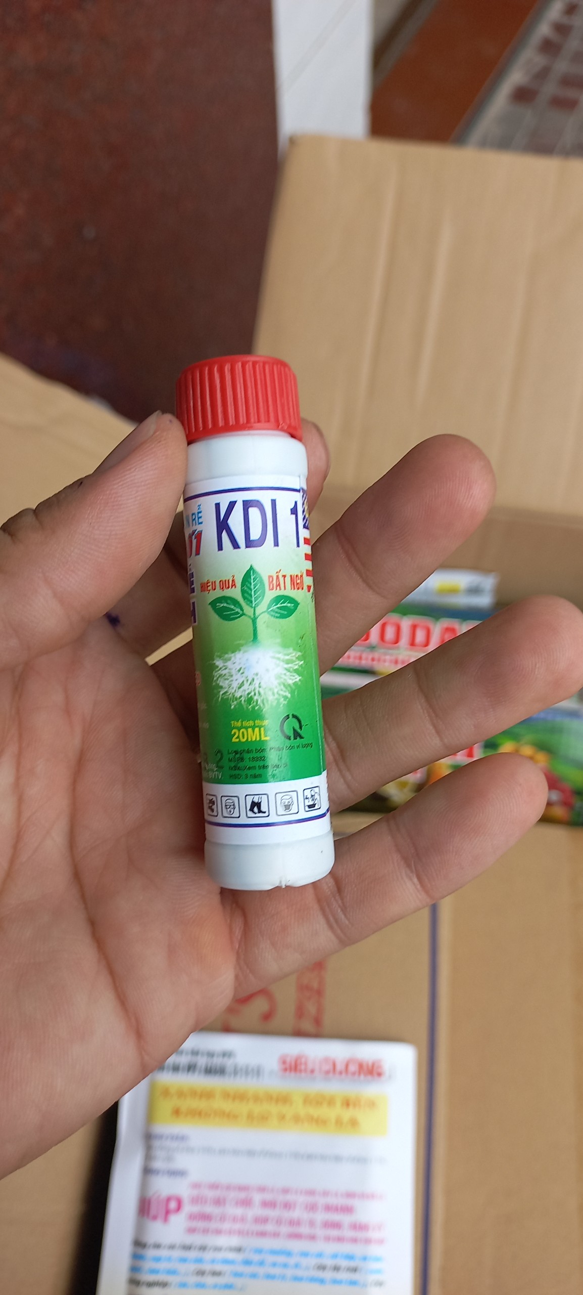 Root king siêu ra rễ