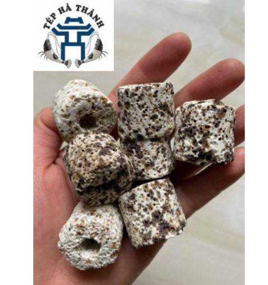 Vật liệu lọc sứ trụ muối tiêu