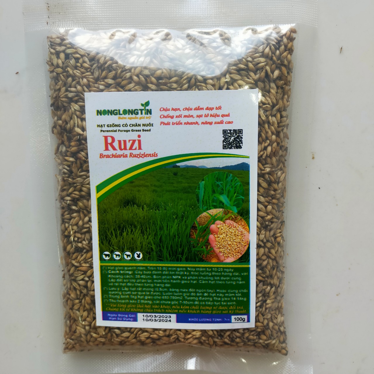 Cỏ ruzi - giống cỏ chăn nuôi chịu dẫm đạp