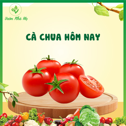 [Giao nội thành Hà Nội] Cà chua tươi Vườn Nhà Mẹ - 1kg cà chua chín đỏ ngon, giàu dinh dưỡng - Rau củ quả tươi, sạch, chuẩn VietGap