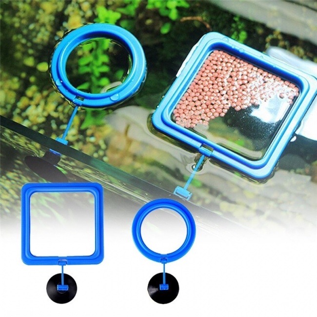 Vòng cho cá ăn giữ thức ăn, Vòng chắn bèo cho bể cá, Vòng Giữ Thức Ăn Cho Cá Cảnh.