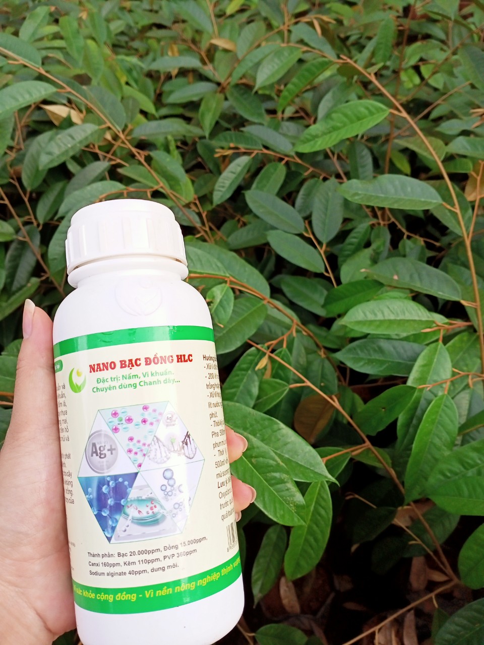 ĐẶC TRỊ NẤM KHUẨN SINH HỌC NANO BẠC ĐỒNG HLC HÀ NỘI 250ml