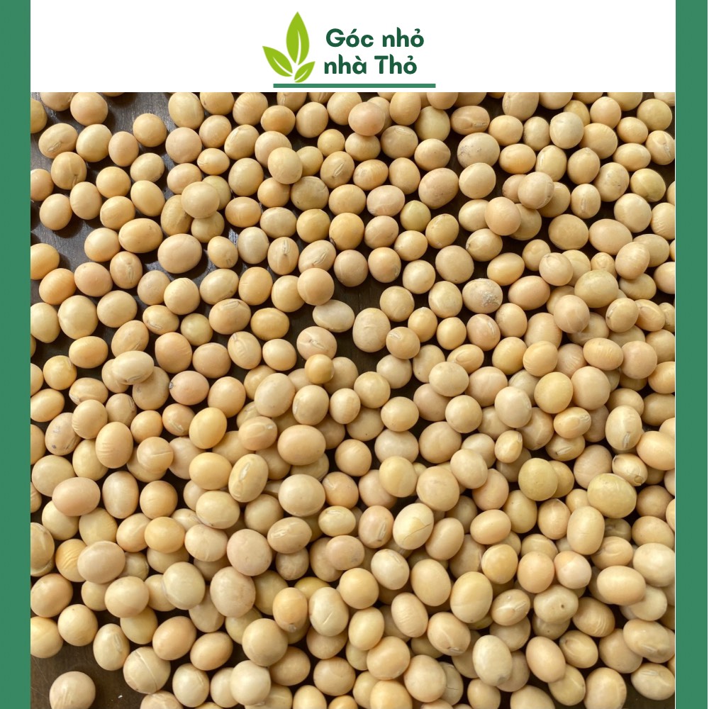 500g Đậu tương quê thuần chủng, hạt nhỏ giống bản địa