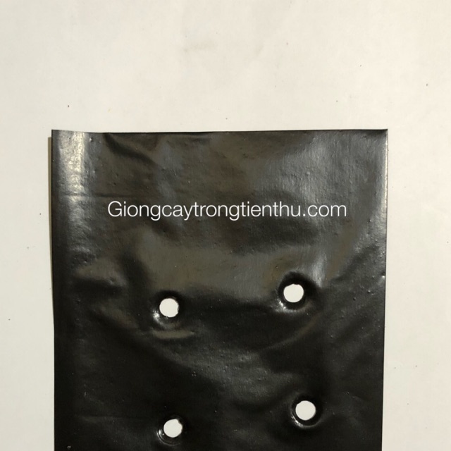 Set 5kg túi bầu ươm cây giống