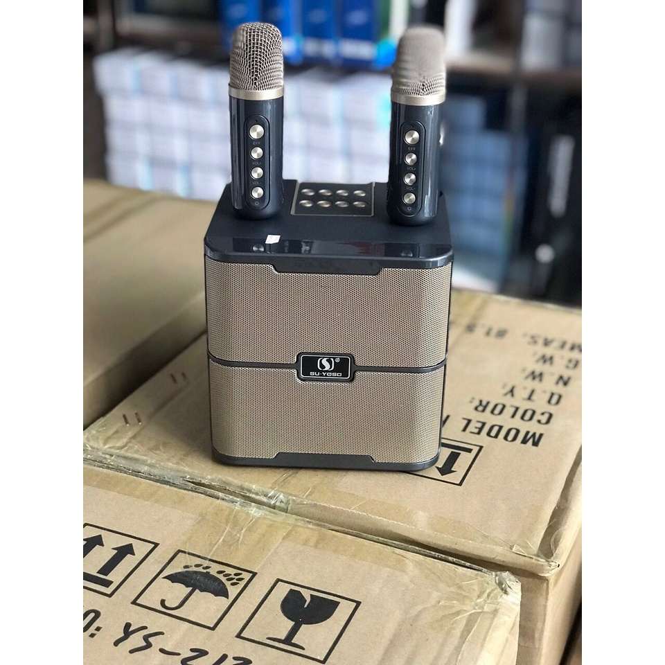Loa karaoke mini kèm 2 mic ys213