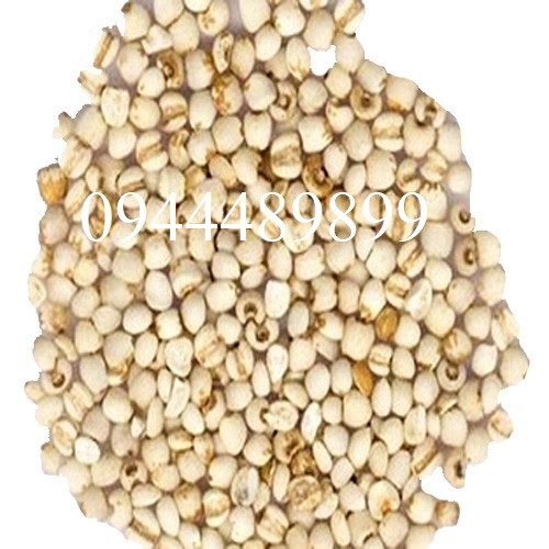 Hạt bobo loại ngon 100g