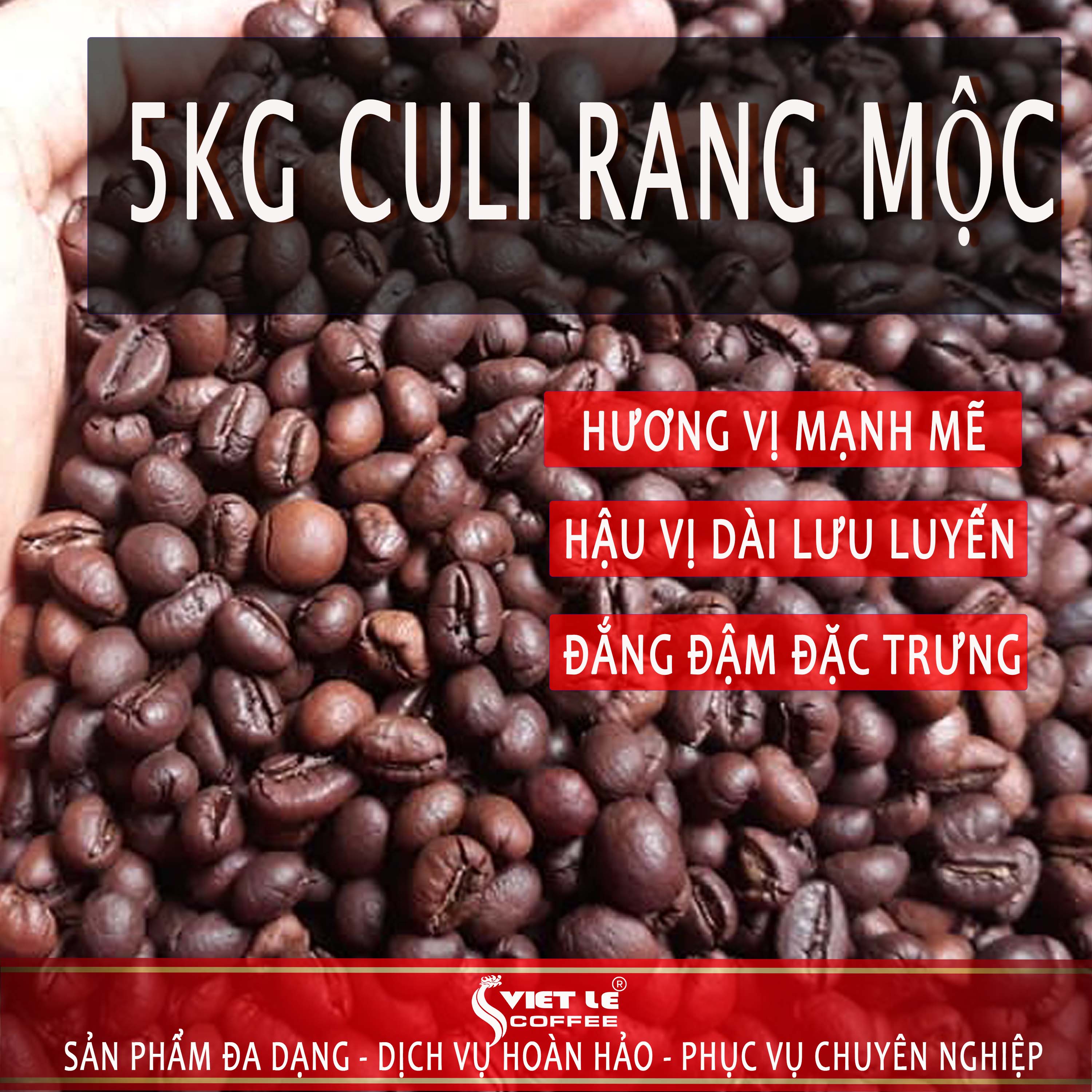 5kg Cà phê CULI rang mộc nguyên chất VIET LE COFFEE