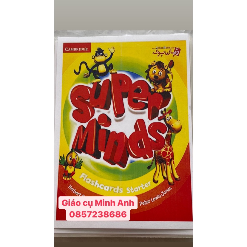 Flashcard super mind starter - 64 thẻ ép plastic