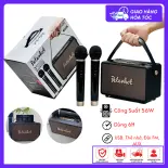 Loa karaoke Peterhot A108W, A106W kèm 2 micro không dây, công suất 56W, loa bluetooth âm thanh siêu đỉnh, bass cực căng