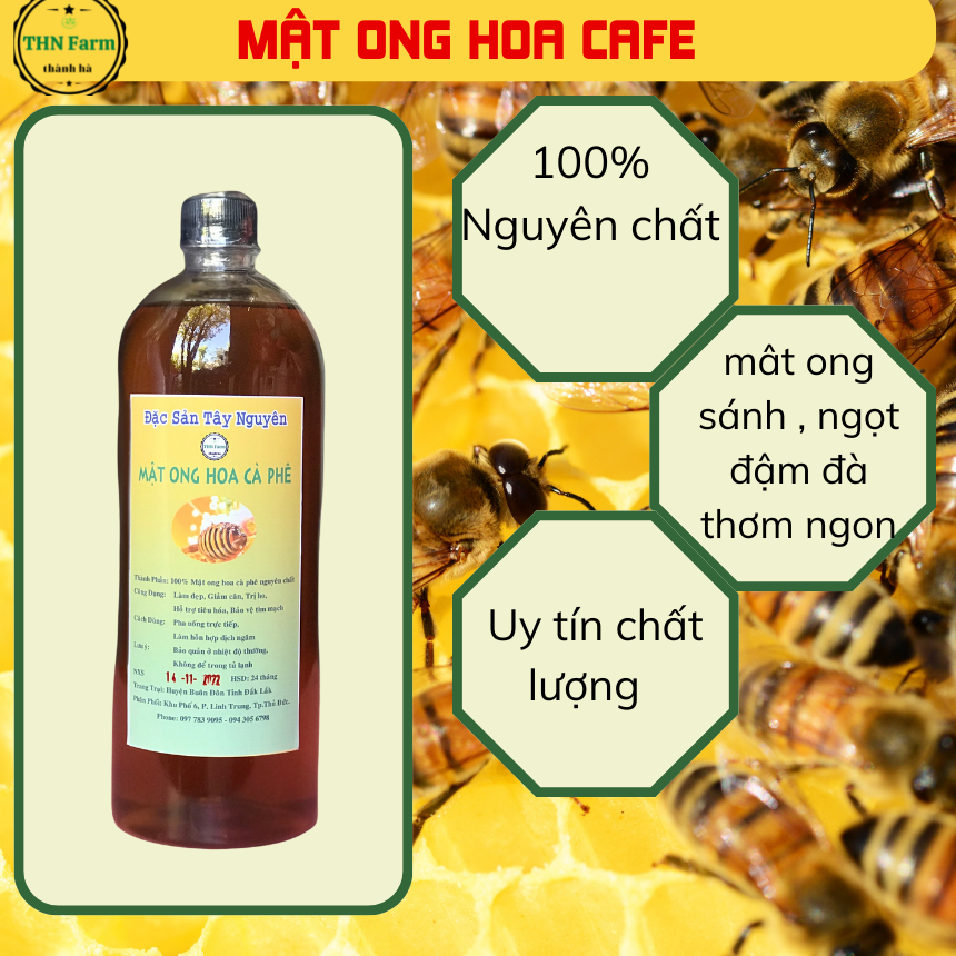 Mật ong hoa cà phê nguyên chất đặc biệt- Mật ong thiên nhiên từ rừng cà phê tây nguyên