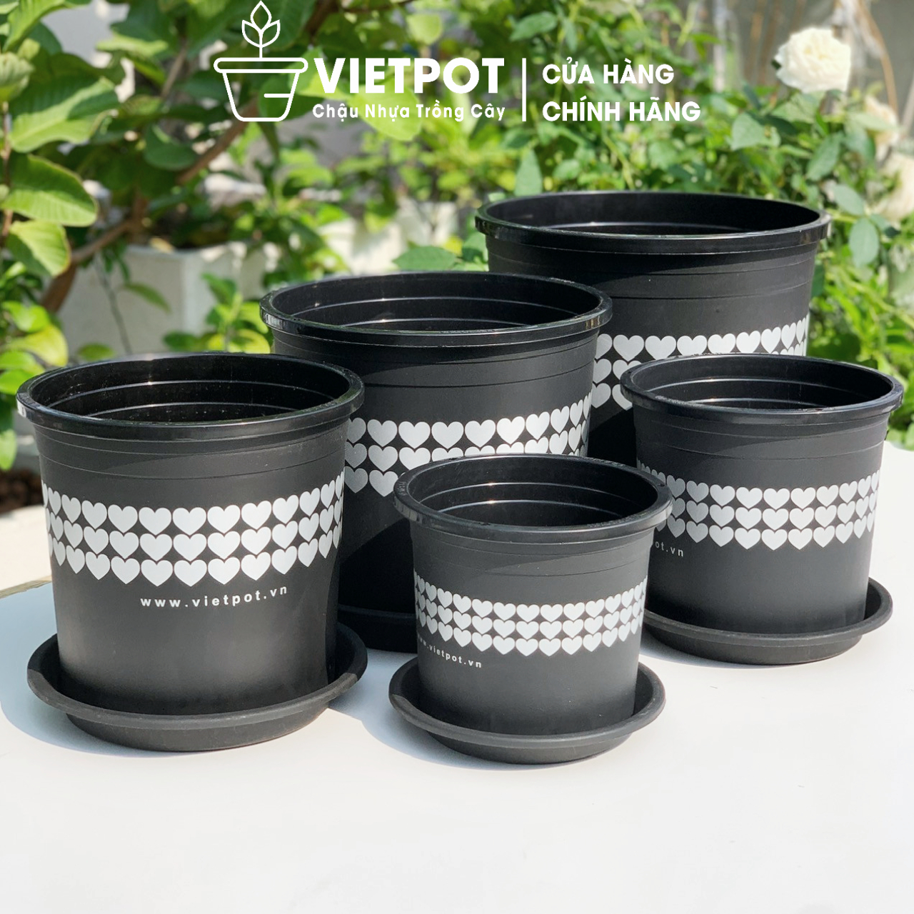 Chậu nhựa trồng cây VIETPOT, màu đen hoa văn tim, trồng kiểng lá, để nhà, sân vườn, ban công