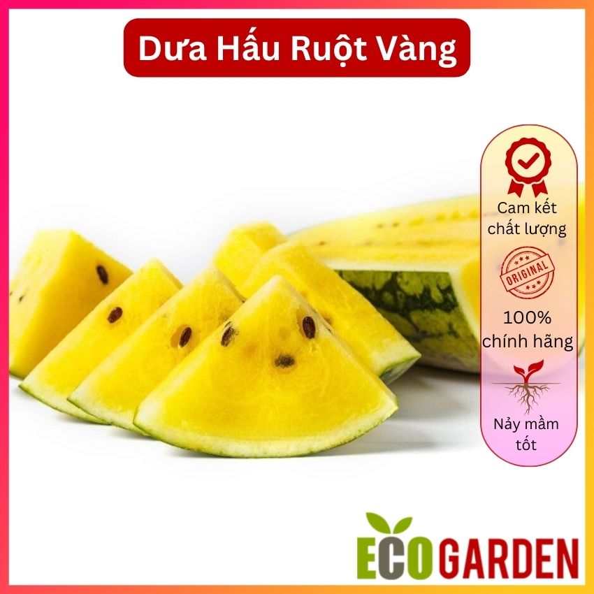 Hạt giống dưa hấu ruột vàng 5h