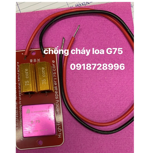 Chống cháy loa g75