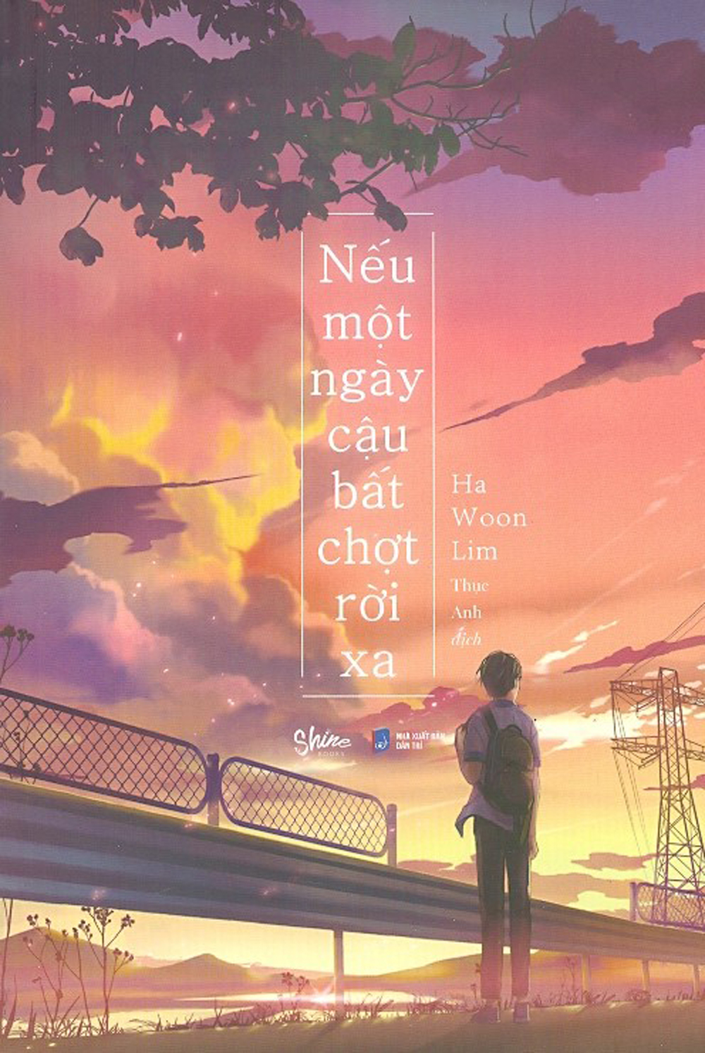 Nếu Một Ngày Cậu Bất Chợt Rời Xa