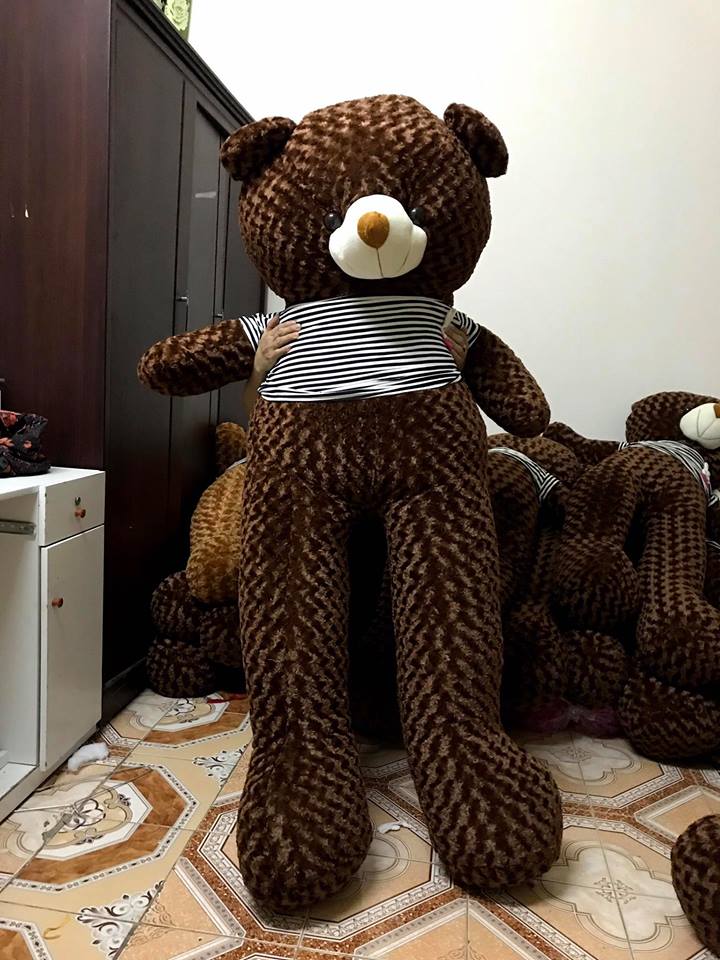1m gấu bông teddy áo kẻ màu nâu lông xoắn 3d mềm shop-am, tdynau1m