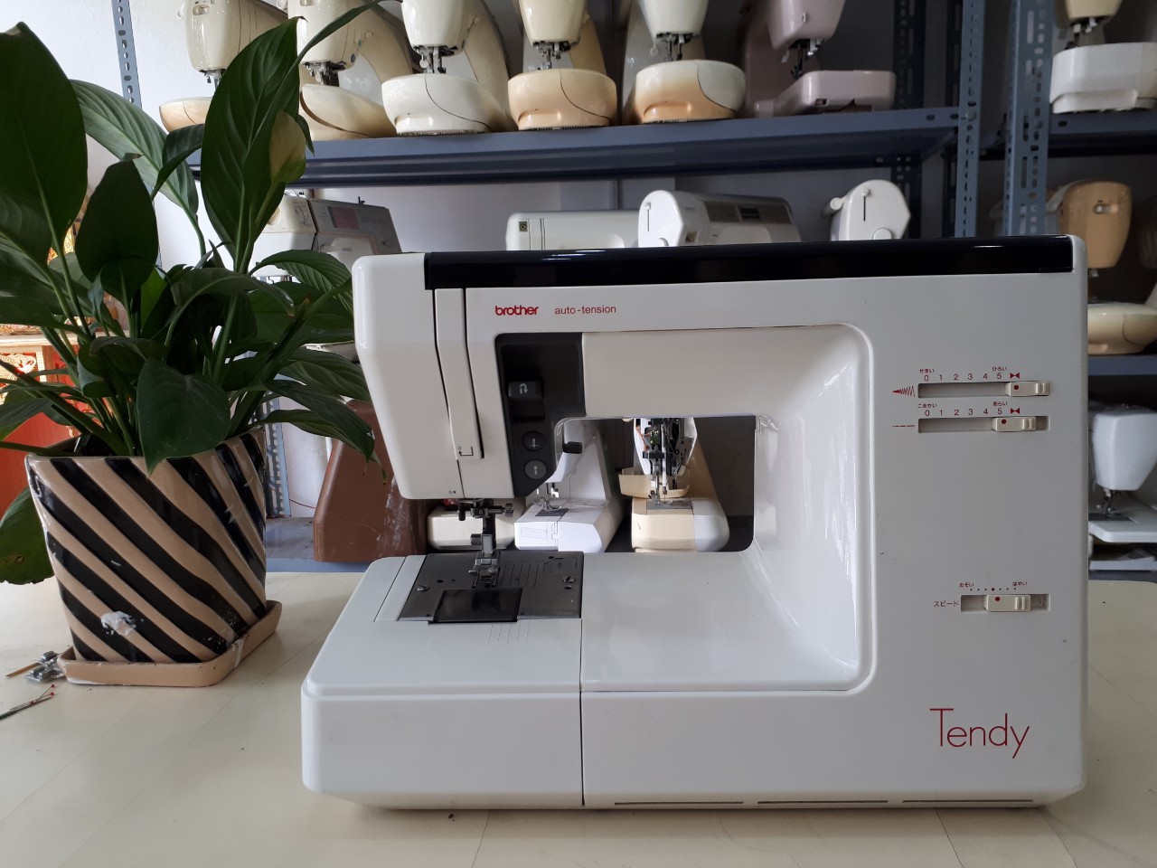 Máy may gia đình Brother tendy hàng nội địa Nhật bản