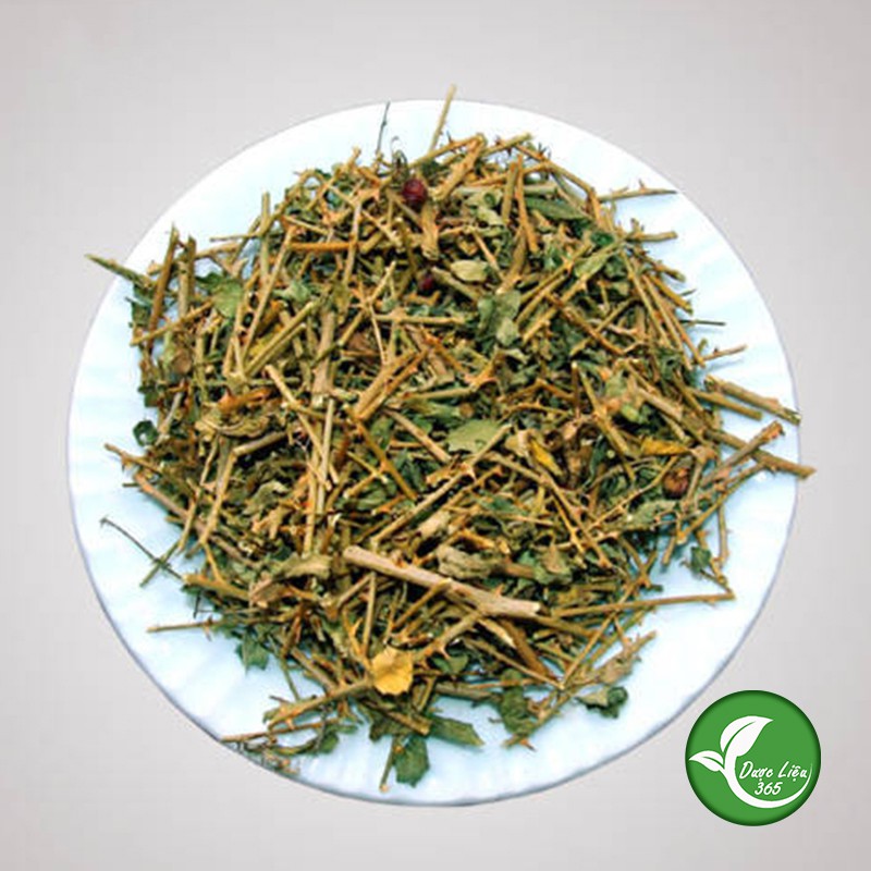 Cà gai leo khô Cam kết hàng sạch đẹp