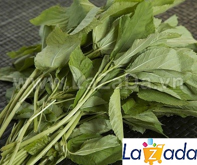10gr hạt giống rau dền đỏ