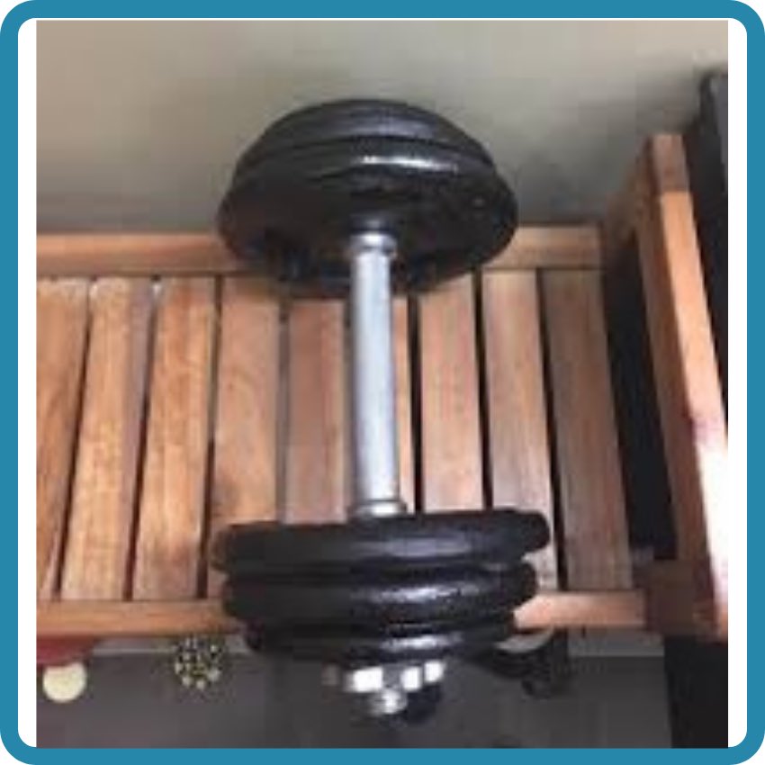 Bộ 1 Đòn Tay 35cm+ 12Kg Tạ Gang