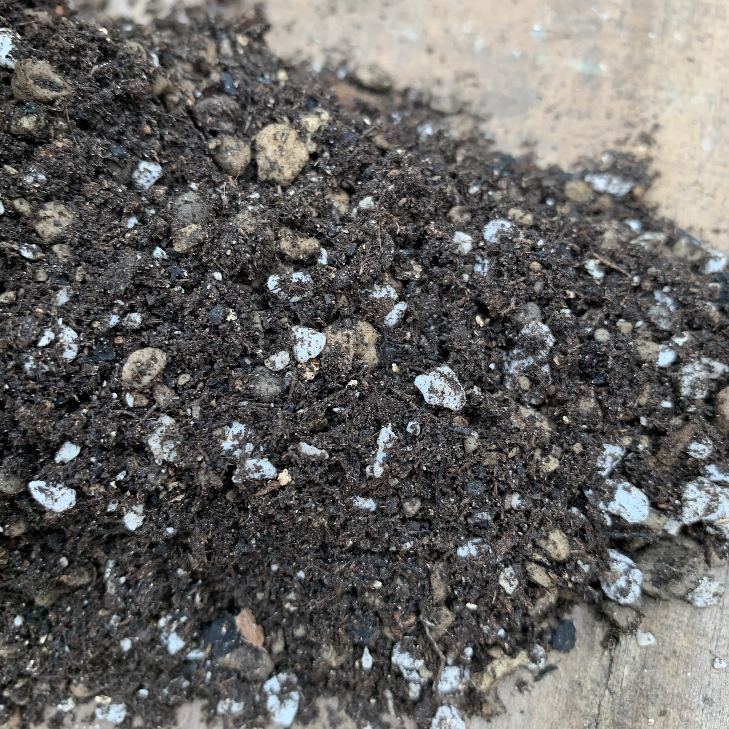 0.5kg đất trồng sen đá. xương rồng