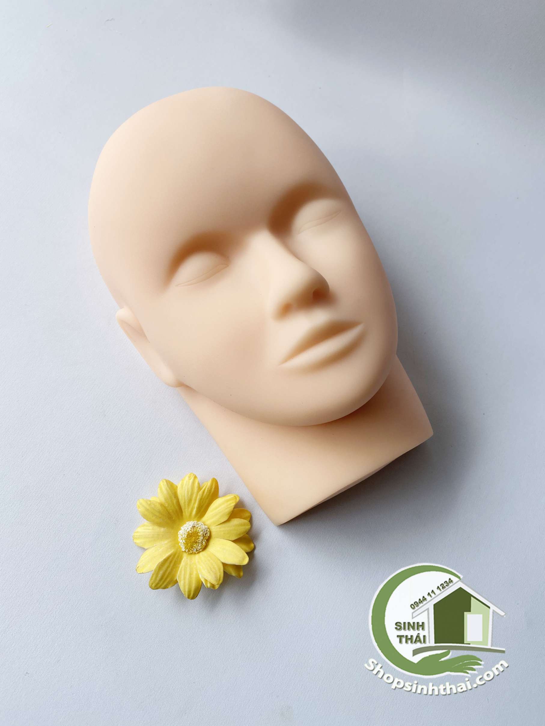 Đầu giả bằng silicon mềm, học xăm chân mày, môi, học trang điểm, spa, massage mặt