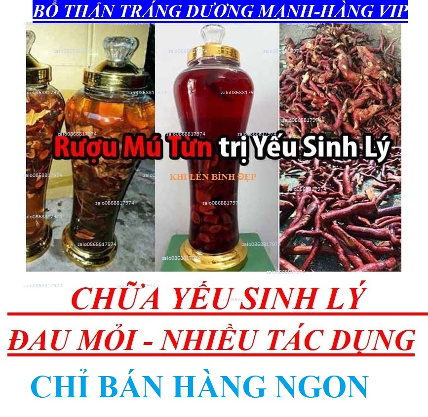 26 KHẮC TINH YẾU_SINH_LÝ+ĐAU MỎI+SUY NHƯỢC CƠ THỂ+TĂNG HAM MUỐN+HỒI XUÂN+BỔ THẬN+TRÁNG DƯƠNG ĐỈNH NAM/NỮ MÚ TỪN TUYẾT SƠN MT 2.27