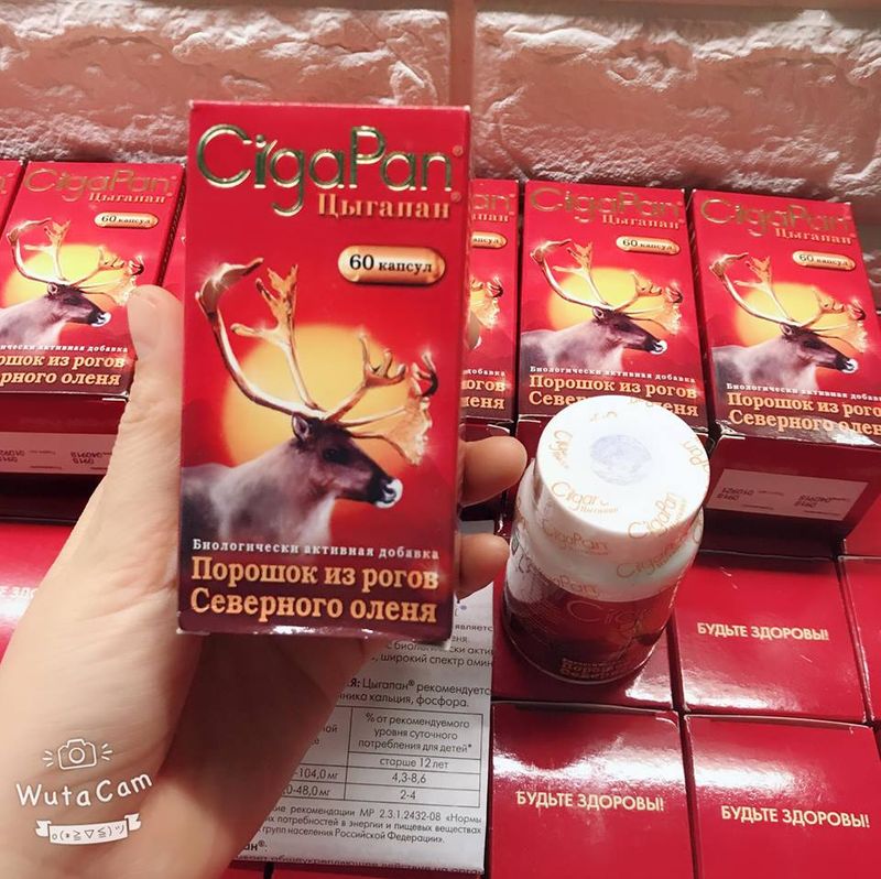 Viên uống nhung hươu CigaPan Siberica nhập khẩu của Nga