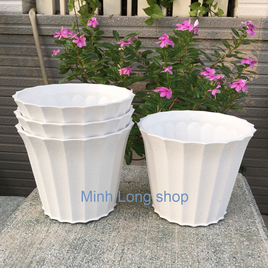 [HCM]Bộ 4 chậu trồng hoa màu trắng size 18x15x12cm Thiết kế tròn có khía rất đẹp và sang trọng Phù hợp các loại cây rau hoa kiểng trang trí văn phòng phòng khách vườn nhà…