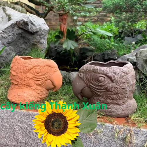 Chậu đất nung trồng cây - Chậu trồng cây sen đá, xương rồng Hình chim két có lỗ thoát nước