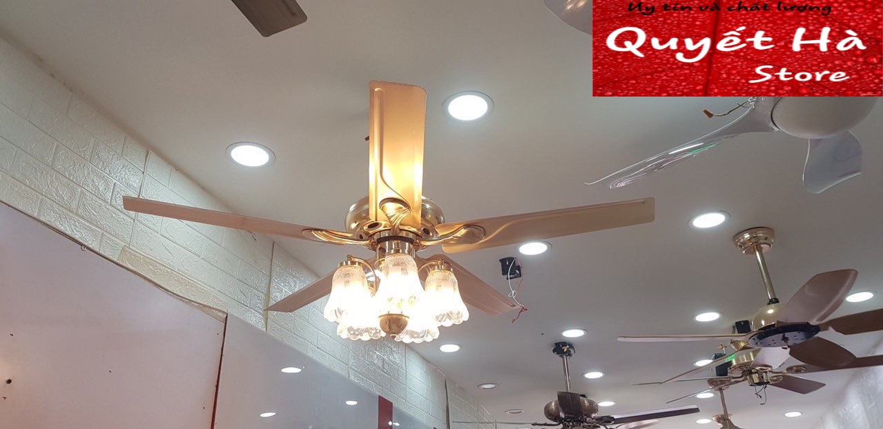Quạt Trần đèn chùm trang trí có điều khiển từ xa ms580 thép
