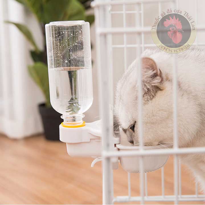 Bình nước 500ml tự động treo chuồng cho chó , mèo , gà