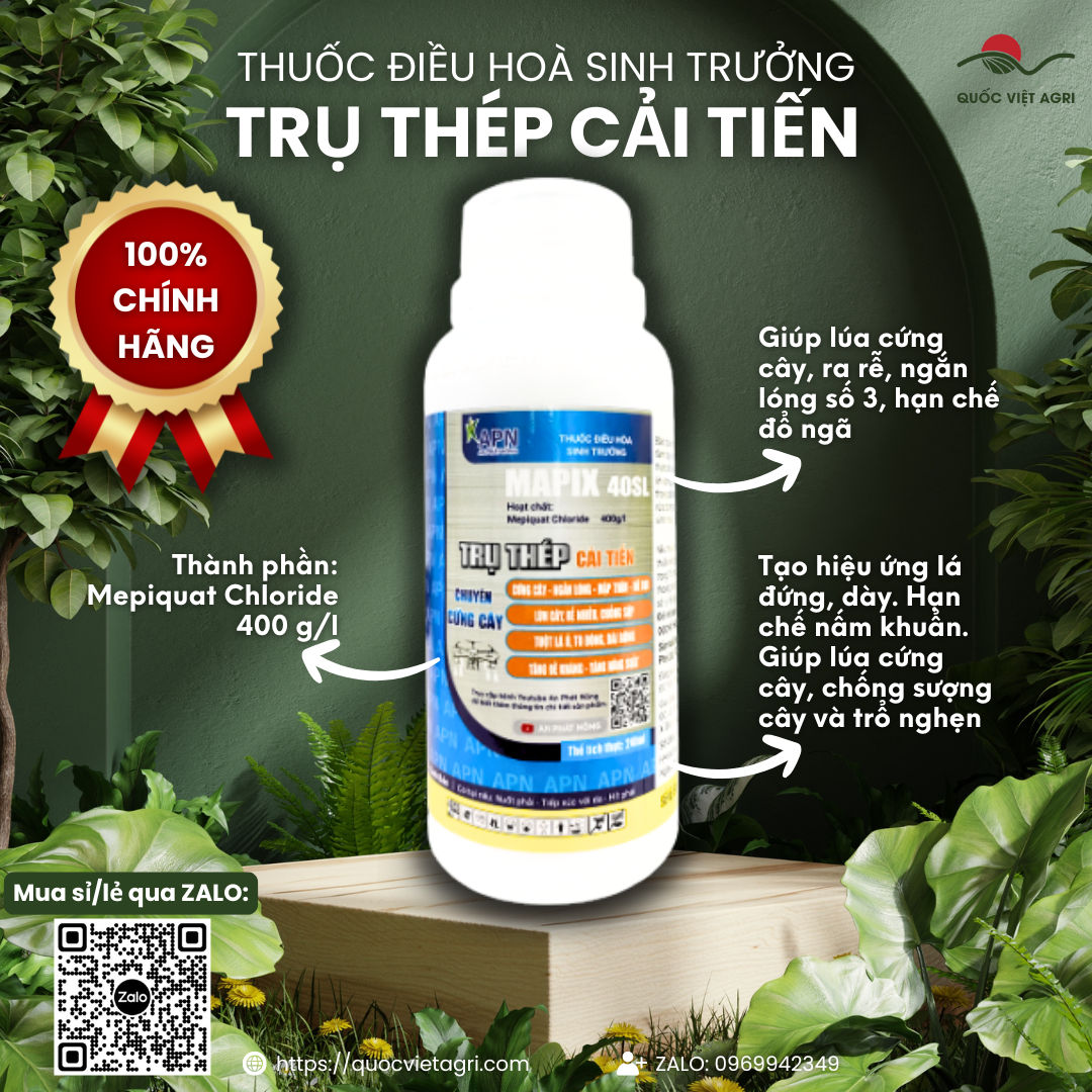 TRỤ THÉP CẢI TIẾN (chai 240ml) - Mepiquat Chloride 400 g/l Giúp lúa cứng cây