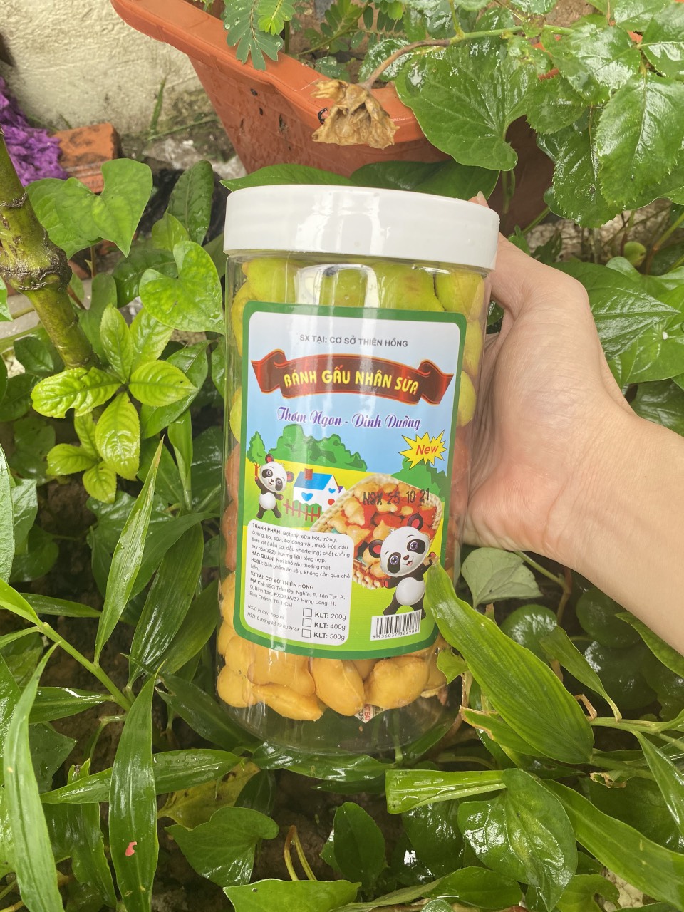 Hộp 500gr bánh gấu mix 3 vị siêu ngon - bánh gấu nhân kem sữa và mix 3 vị siêu bự: kem truyền thống, chùm ngây, socola