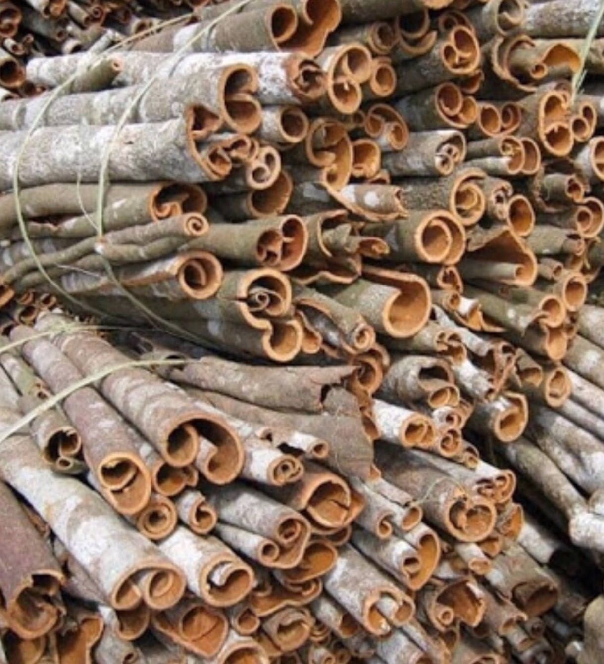 500g vỏ quế khô yên bái hàng chuẩn loại 1