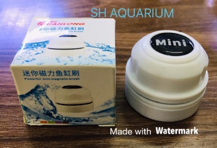 [HOÀN TIỀN 10%]Nam châm cọ bể cá cảnh, bể thủy sinh QuanLong Mini