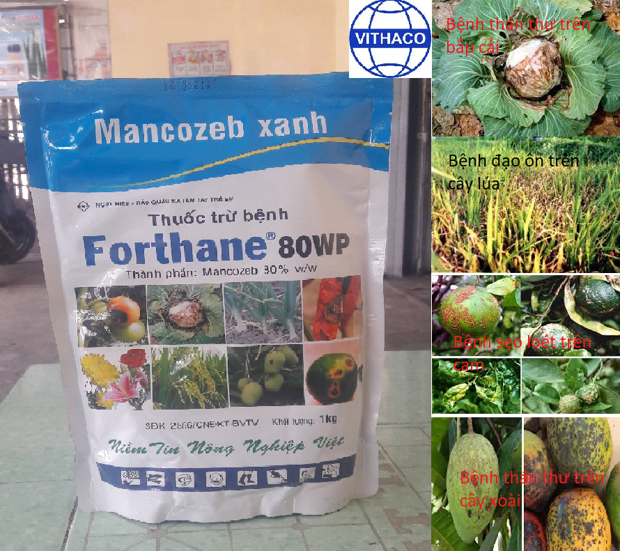 Thuốc trừ bệnh Forthane 80WP 1kg