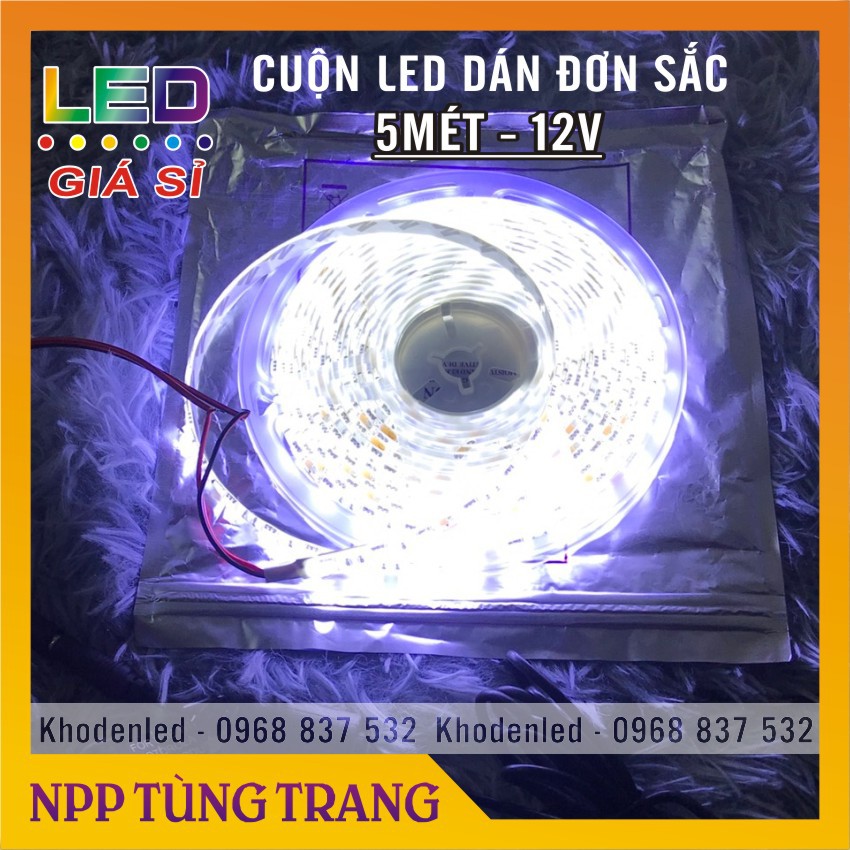 Cuộn led dây dán 5050 12v dài 5m