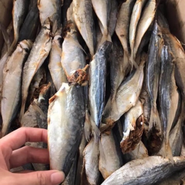 Khô cá nục lạt 1kg Thiên Tú , cá ngon thịt chắc hương vị tự nhiên