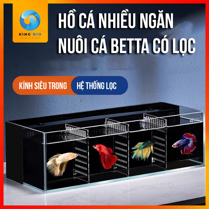 Bể cá Betta siêu trong Yee – Độ bền cao, kính siêu trong 8K, tặng kèm bơm và lọc