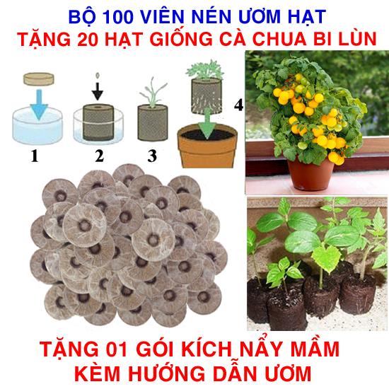 Bộ 100 viên nén ươm hạt (tặng 30 Hạt giống Cà chua bi lùn vàng + Kích thích nẩy mầm, Hướng dẫn)